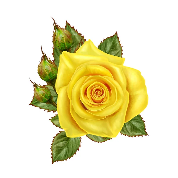 Çiçek kompozisyon. Güzel buket Sarı Gül, yeşil yaprakları, tomurcukları. Beyaz arka plan üzerinde izole. — Stok fotoğraf