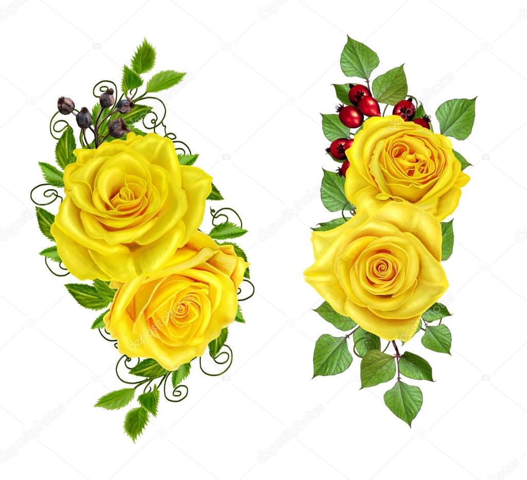 Flower composition. Beautiful bouquet of yellow roses, green leaves, buds. Isolated on white background.