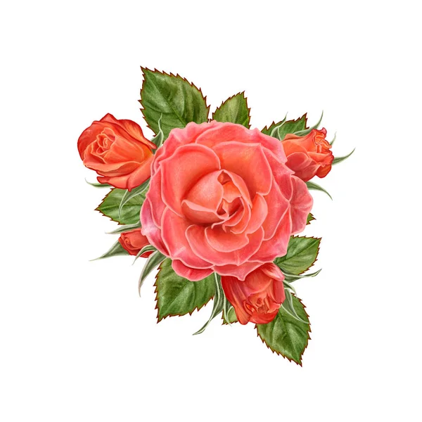 Květinové kompozice. Kytici jasných oranžových růží, zelené listy. Izolované na bílém pozadí. — Stock fotografie