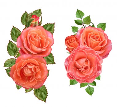 Çiçek kompozisyon. parlak turuncu gül buketi, yeşil yaprakları