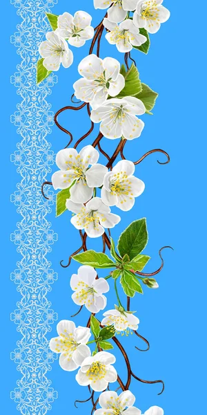 Frontera floral vertical sin costuras. Floración de primavera. Una rama de una cereza blanca floreciente. Fondo floral . — Foto de Stock