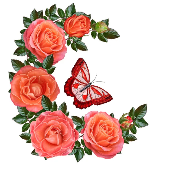 Fondo floral. Corona en forma de un semicírculo de rosas anaranjadas, hojas verdes. Brillante hermosa mariposa roja. Aislado sobre fondo blanco . — Foto de Stock