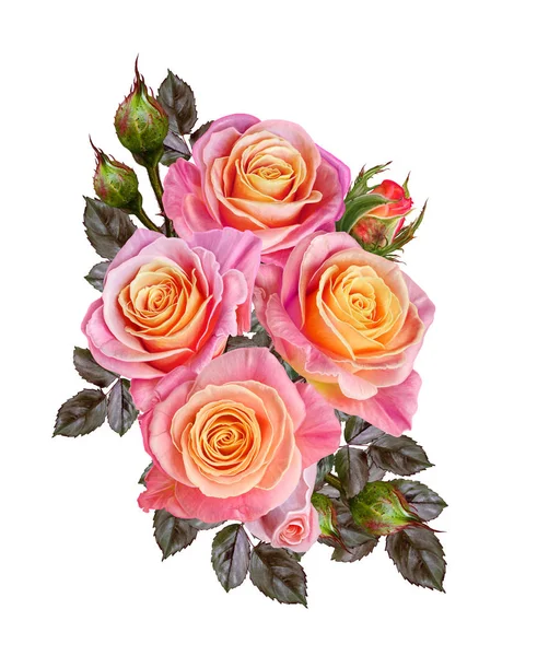 Virág kompozíció. Egy szép narancssárga, sárga, rózsaszín rózsa csokor. Elszigetelt fehér background. — Stock Fotó