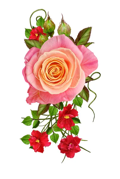 Flower composition. A bouquet of beautiful orange, yellow, pink roses. Isolated on white background. — Stock Photo, Image