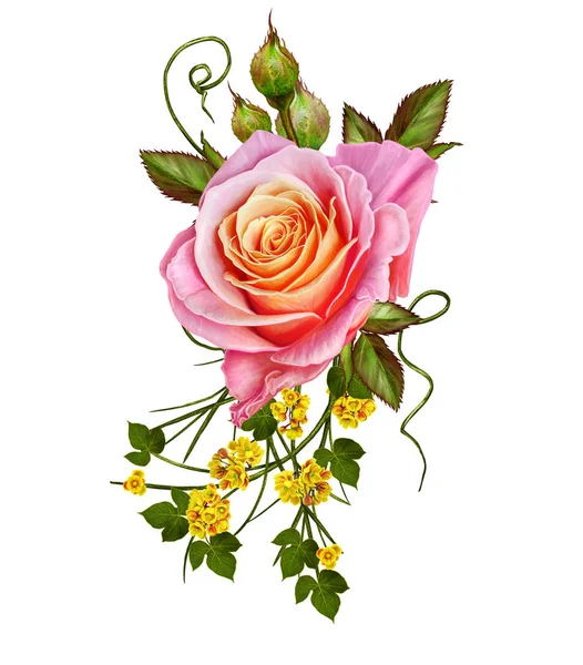 Virág kompozíció. Egy szép narancssárga, sárga, rózsaszín rózsa csokor. Elszigetelt fehér background. — Stock Fotó