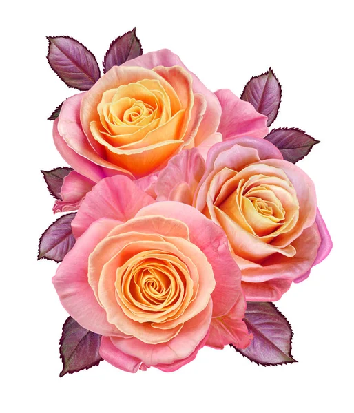 Composition des fleurs. Un bouquet de belles roses oranges, jaunes, roses. Isolé sur fond blanc . — Photo