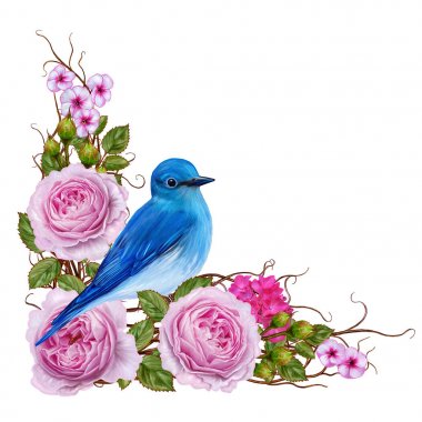 Çiçek arka plan. Beyaz arka plan üzerinde izole. Narin pembe güller, parlak yapraklar, ince dalları bileşimi. Bir mavi kuş bir dalda oturur.