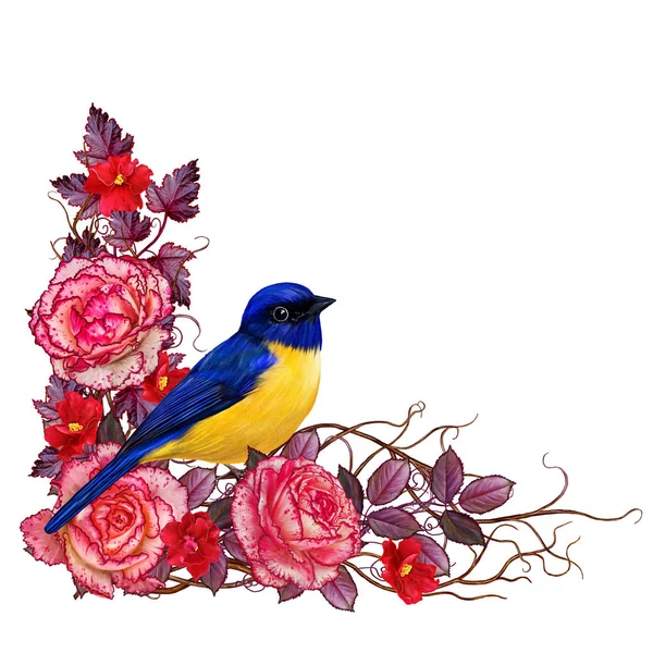 Fondo floral. Aislado sobre fondo blanco. Composición de delicadas rosas rosadas, hojas brillantes, ramas delgadas. Un pequeño pájaro azul se sienta en una rama . — Foto de Stock