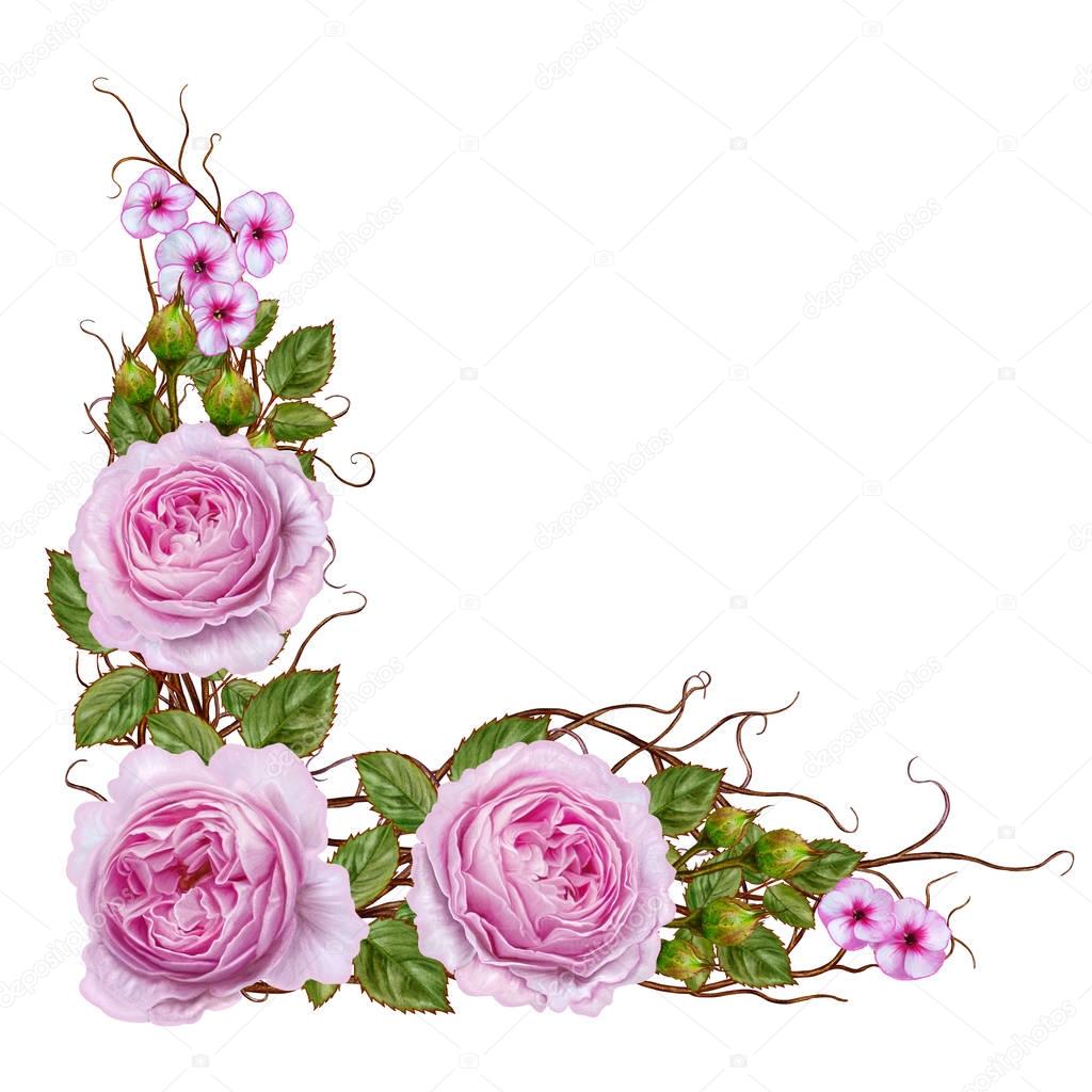 Floral background. Isolated on white background. Composition of delicate pink roses, bright leaves, thin branches. 