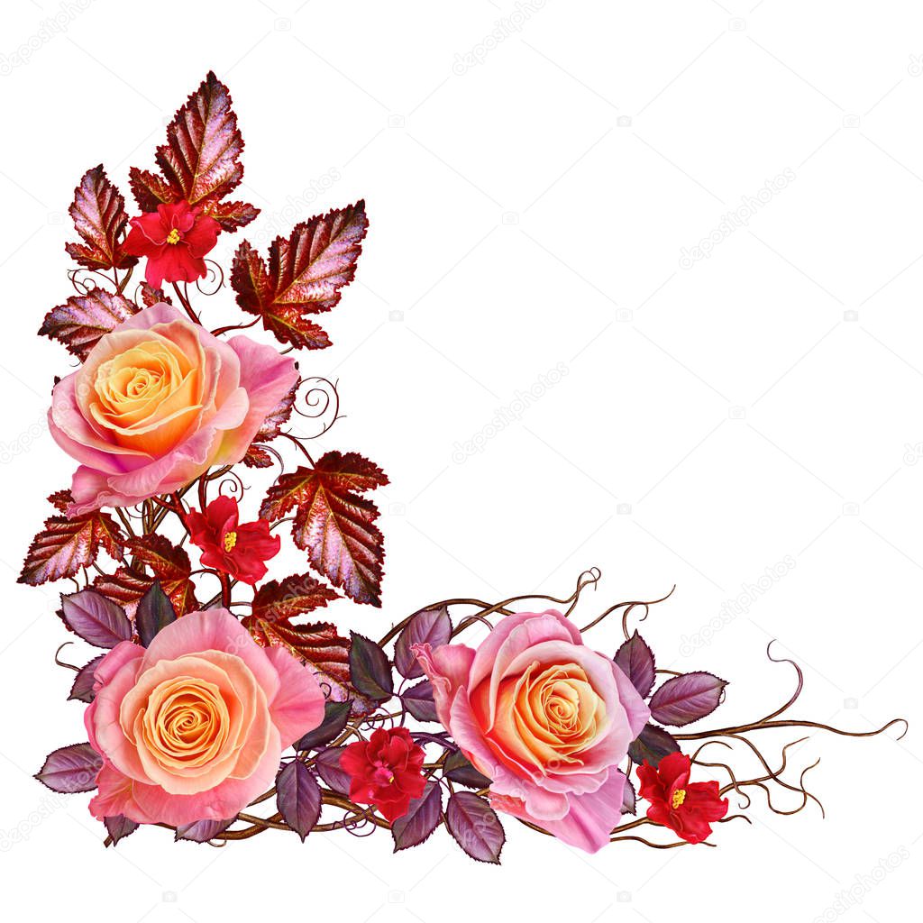 Floral background. Isolated on white background. Composition of delicate pink roses, bright  leaves, thin branches.