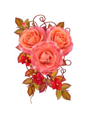 Çiçek arka plan. Kompozisyon hassas güzel turuncu gül ' parlak yaprakları, kırmızı küçük çiçekler. Beyaz arka plan üzerinde izole.