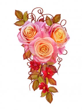 Çiçek arka plan. Kompozisyon hassas güzel turuncu gül ' parlak yaprakları, kırmızı küçük çiçekler. Beyaz arka plan üzerinde izole.