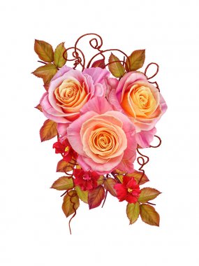 Çiçek arka plan. Kompozisyon hassas güzel turuncu gül ' parlak yaprakları, kırmızı küçük çiçekler. Beyaz arka plan üzerinde izole.