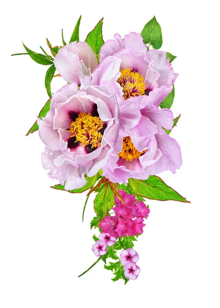 Floral φόντο. Ένα μπουκέτο από τρυφερό ροζ peonies δέντρο-όπως, μπουμπούκια της, πράσινα φύλλα. Απομονωμένα σε λευκό φόντο. — Φωτογραφία Αρχείου