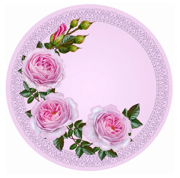 Věnec z jemné krásné růžové růže v kruhu. Lemování perlový kadeře, pastelových tónů, kruhového tvaru. — Stock fotografie