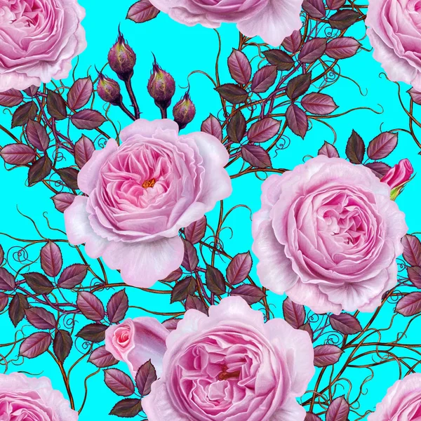 Floral seamless pattern. Branch of beautiful delicate pink roses — Stock Photo, Image