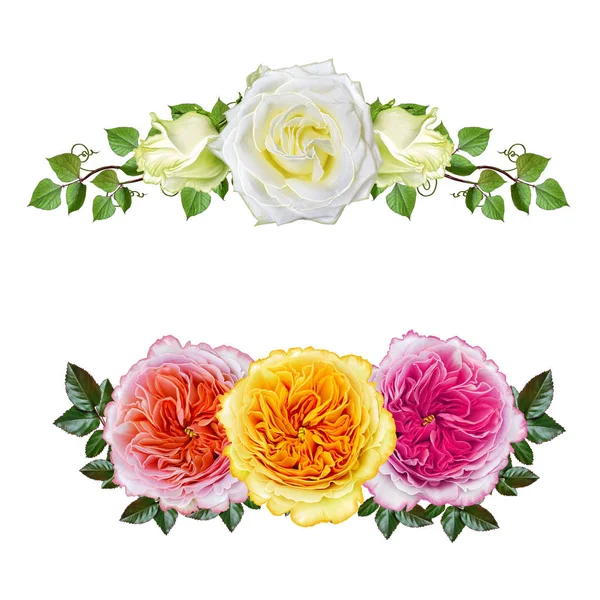 Fundo floral. Guirlanda de rosas brancas, rosa e laranja, folhas verdes brilhantes. Isolado em fundo branco.d . — Fotografia de Stock