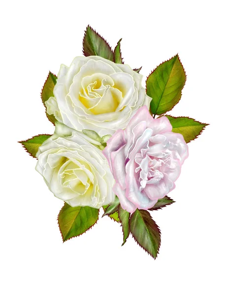 Kompozycja kwiat. Na białym tle na białym tle. Bukiet białych róż delikatnym z bliskim zielony, jasny liści. — Zdjęcie stockowe