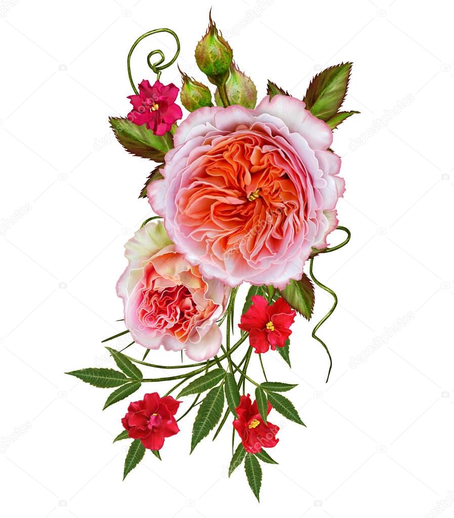 Flower arrangement of delicate pink roses. Isolated on white background.