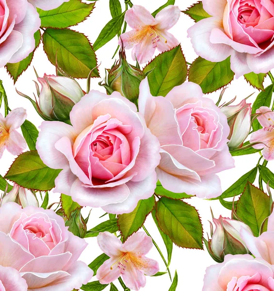 Florales nahtloses Muster. Zweig schöner zartrosa Rosen — Stockfoto