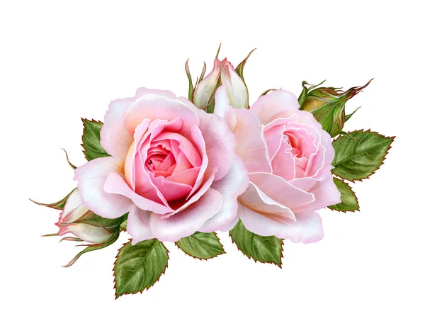 Flower arrangement of pink roses. Isolated on white background. — Stock Photo, Image