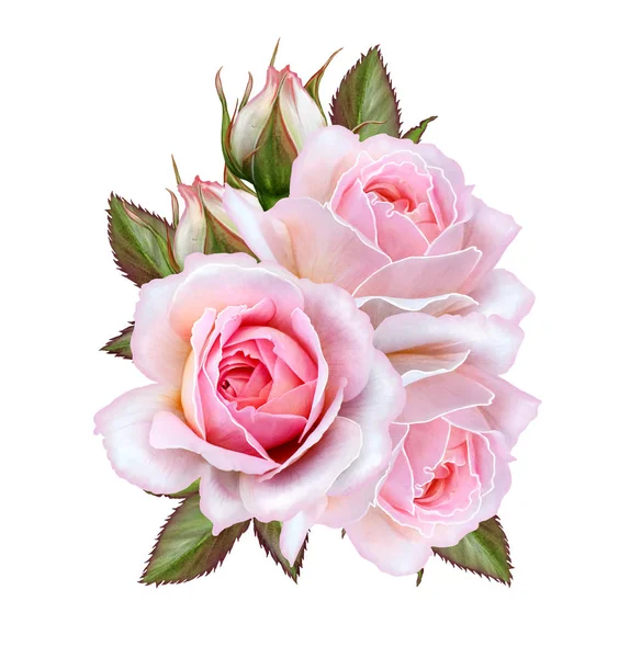 Arreglo floral de rosas rosadas. Aislado sobre fondo blanco . —  Fotos de Stock