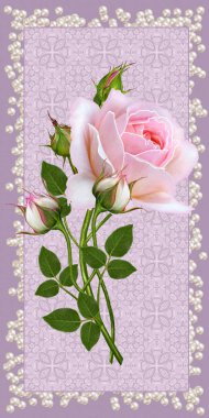 Çiçek arka plan. Tebrik vintage kartpostal, pastel tonu, eski stil. Pembe Gül çiçek aranjman. Ajur kare oyma çerçeve pastel renk.