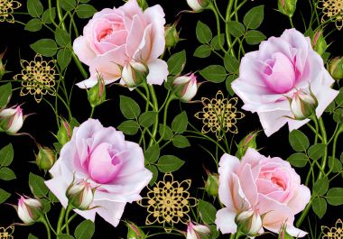 Çiçek seamless modeli, bud bir güzel pembe Gül, uzun, yüksek kaynaklanıyor.