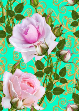 Çiçek seamless modeli, bud bir güzel pembe Gül, uzun, yüksek kaynaklanıyor.