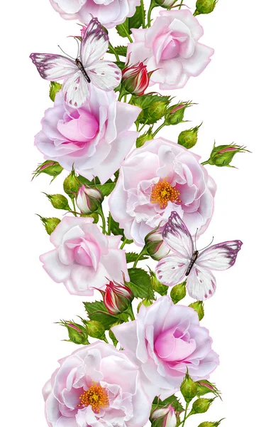 Bordure florale verticale. Modèle sans couture. Guirlande de fleurs de roses belles roses. Isolé sur fond blanc. Petits papillons légers . — Photo