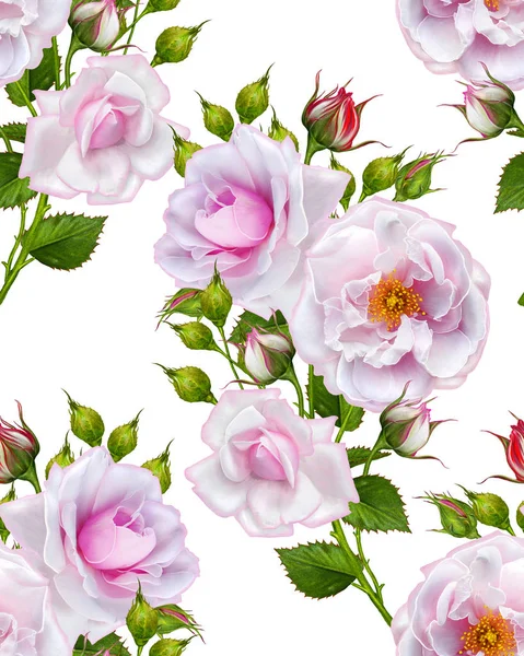 Florales nahtloses Muster, Knospe einer schönen rosa Rose, lang, hoch — Stockfoto