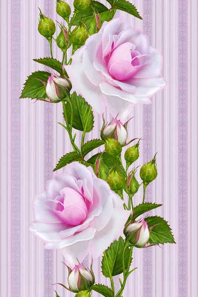 Dikey çiçek sınır. Seamless modeli. Pembe güzel gül çiçek çelenk. Pastel çizgili arka plan.