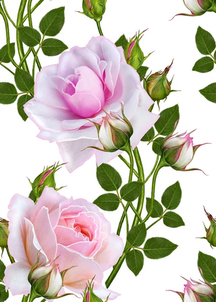 Florales nahtloses Muster, Knospe einer schönen rosa Rose, lange, hohe Stiele. — Stockfoto