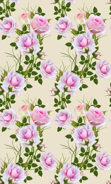 Motif floral sans couture. Branche de belles roses roses délicates — Photo