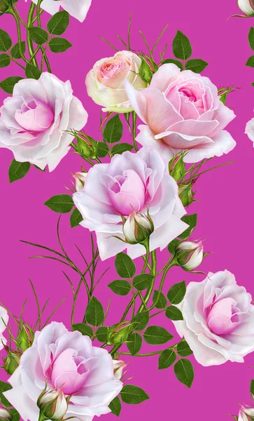 Çiçek seamless modeli. Güzel narin pembe gül dalı