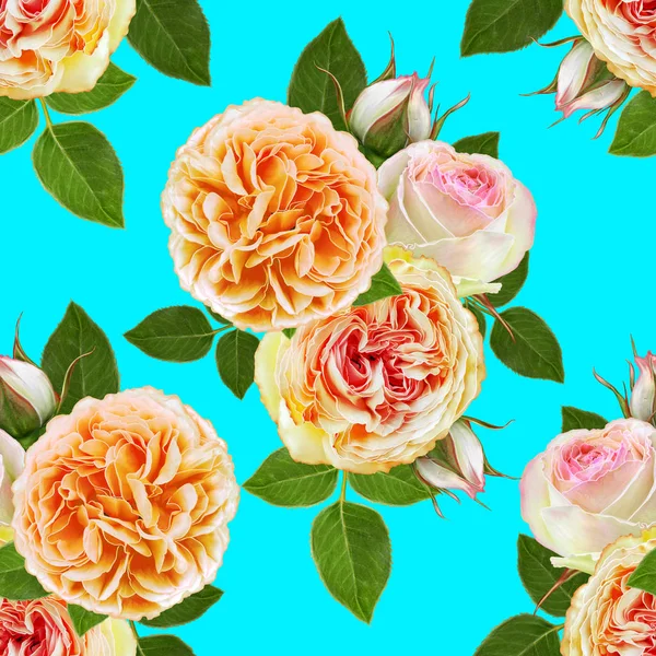 Floral seamless pattern, bouquet of bright saturated pink roses, beautiful green leaves, buds. — Stock Photo, Image