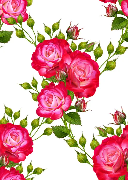 Motif floral sans couture. Bouquet de roses rouge vif sur une longue tige, arrangement floral . — Photo