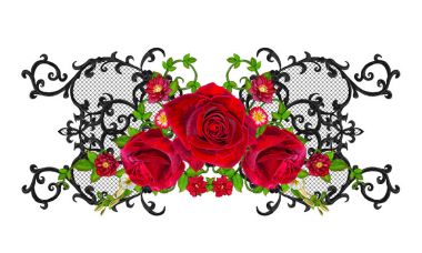 Siyah dantel, dokuma, Ajur bukleler. Garland karanlık kadife kırmızı gül. Hassas dokuma Ajur. 