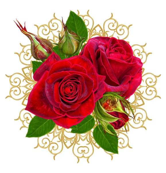 Composición floral. Un brote de una hermosa rosa roja de terciopelo negro y hojas verdes. Aislado sobre fondo blanco . —  Fotos de Stock