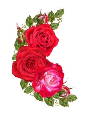 Çiçek kompozisyon. Güzel bir kırmızı gül ve yeşil yaprakları tomurcuğu. Beyaz arka plan üzerinde izole.