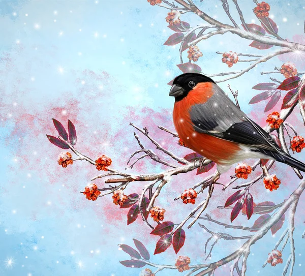 Weihnachtsgrußkarte. zwei helle Vogel Gimpel Vogel sitzt auf einem Ast, Schnee, rote Beeren. — Stockfoto