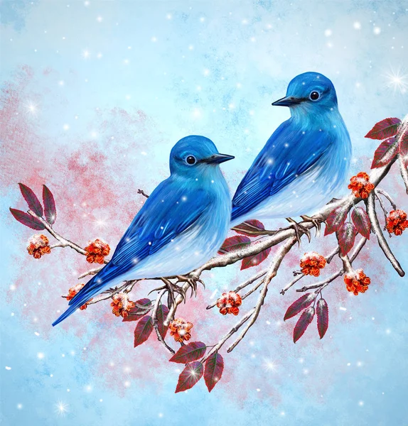 Christmas greeting card. Two bright bird bullfinch bird sitting on a branch, snow, red berries. — Stock Photo, Image