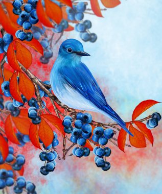 Parlak kuş şakrak kuşu bir dalda oturuyor. Koyu kırmızı yaprakları, kar, kırmızı meyveler. Sonbahar arka plan.