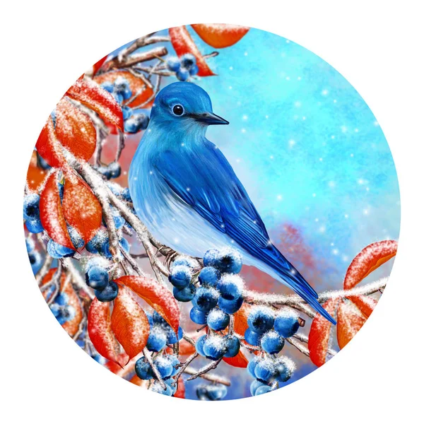 Cartão de Natal. Fundo de inverno. Um pequeno pássaro da mama senta-se em um ramo coberto de neve, bagas azuis, folhas vermelhas . — Fotografia de Stock