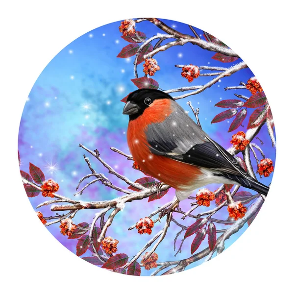 Christmas greeting card. Winter background. A small bird of the tit sits on a snow-covered branch, blue berries, red leaves. — Stock Photo, Image