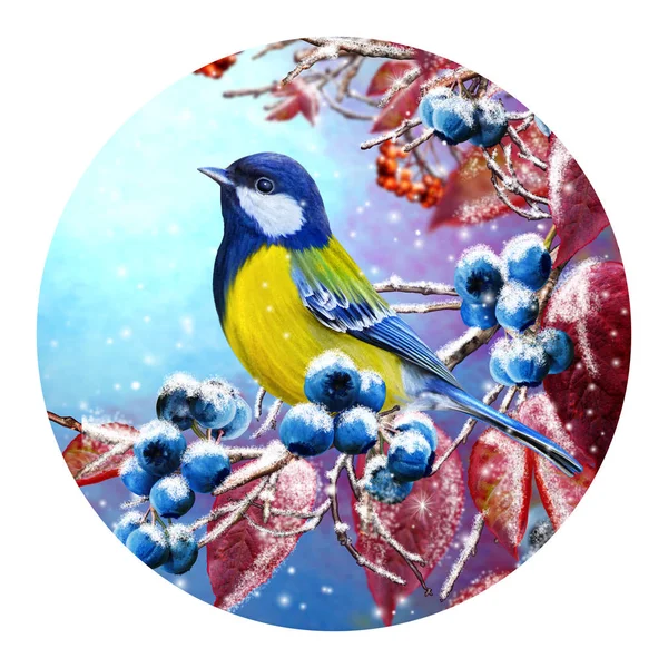 Forma redonda, pintura. Tarjeta de felicitación navideña. Fondo de invierno. Un pequeño pájaro de la teta se sienta en una rama cubierta de nieve, bayas azules, hojas rojas . —  Fotos de Stock