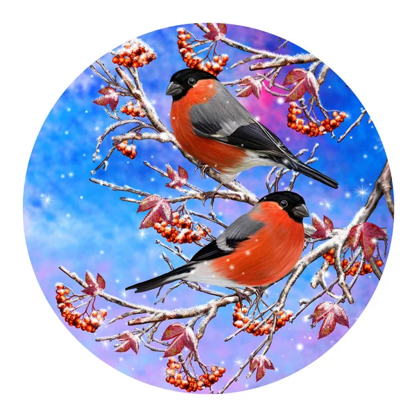 Tarjeta de felicitación navideña. Fondo de invierno. Un pequeño pájaro de la teta se sienta en una rama cubierta de nieve, bayas azules, hojas rojas . — Foto de Stock