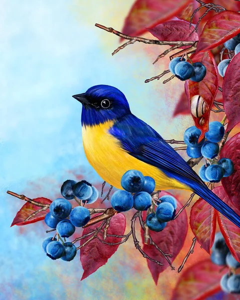 Bright bird bullfinch sitting on a branch. Crimson leaves, snow, red berries. Autumn background. — Stock Photo, Image