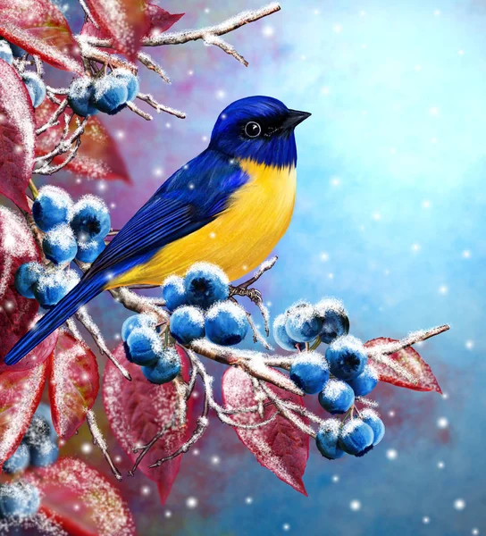 Noel tebrik kartı. Kış arka plan. Baştankara küçük bir kuş oturur bir karla kaplı dal, mavi çilek, kırmızı yaprakları.