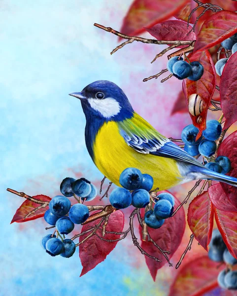 Bright bird bullfinch sitting on a branch. Crimson leaves, snow, red berries. Autumn background. — Stock Photo, Image